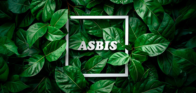 ASBIS Rises in the Climate Crisis Awareness Ranking with Notable ESG Achievements